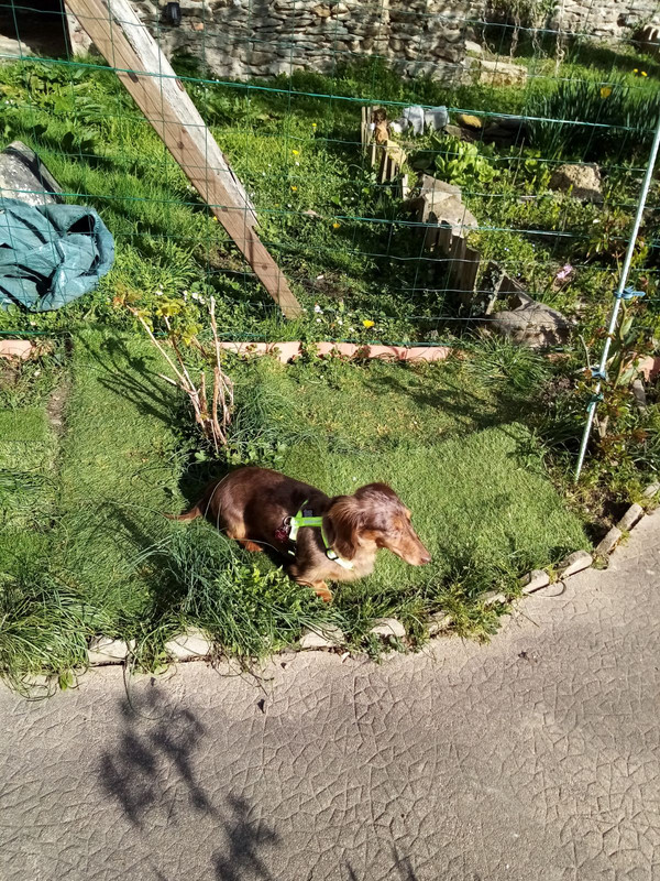 [Image: IMG-20240318-135050.jpg]