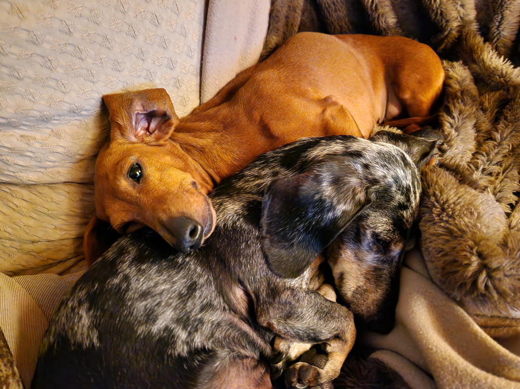 [Image: 20221219-234453.jpg]