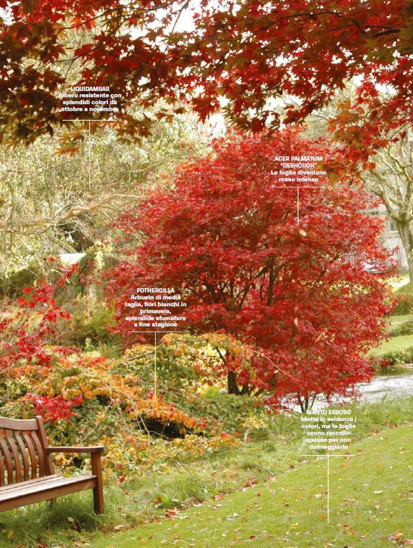 Il Mio Giar Ott-Nov 2024 (12)