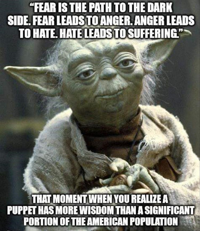 puppet-has-more-wisdom-than-most-ppl.jpg