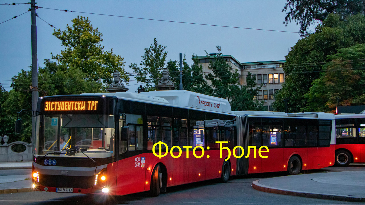 3613.jpg