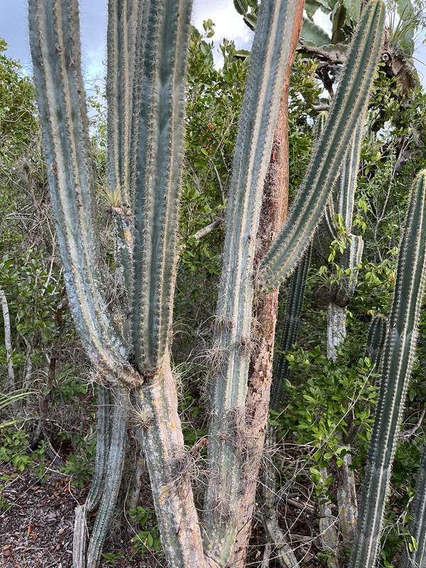 D49FCB67-714B-416A-AB81-970A6C4D64E6