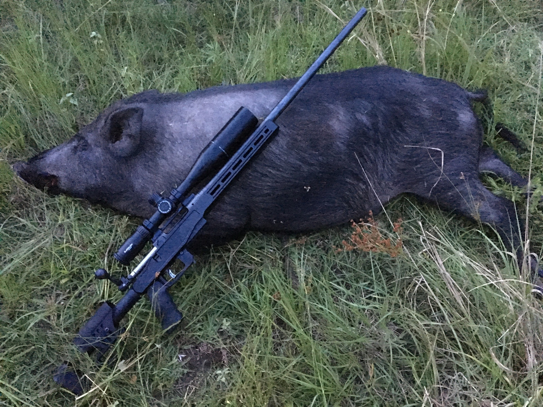 ED6CE9A7-2069-4AC6-AED6-437A24F1D0B2