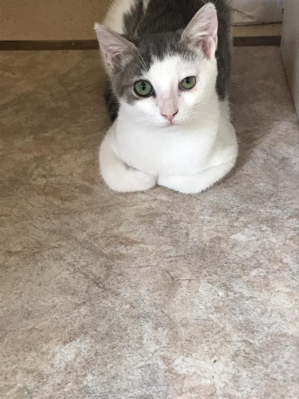 2A9714B1-0885-4DDB-832C-B63BC129C5D0