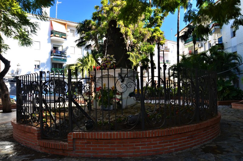 ESTEPONA-9-3-2017 - Málaga y sus pueblos-2009/2017 (7)
