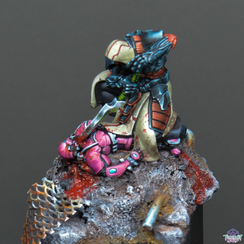 Tesseract 585657111 1214755247370838 5917455287768303725 n