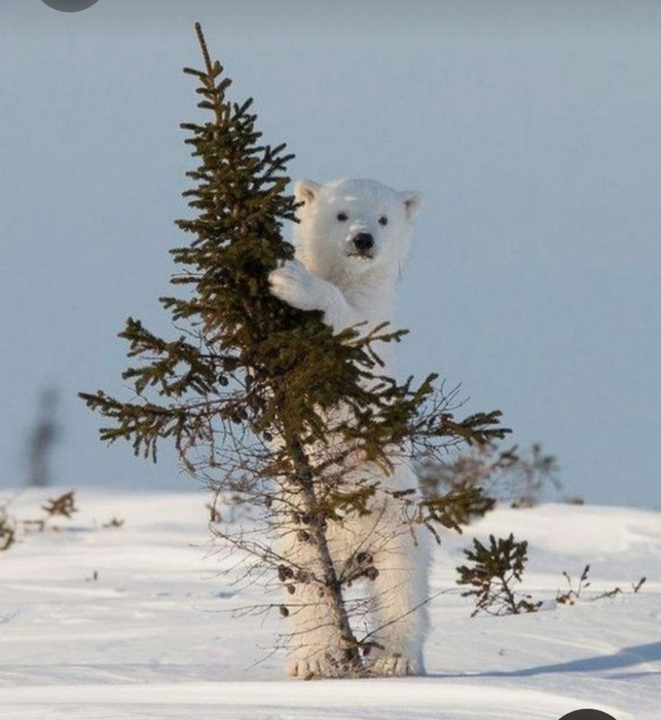 Screenshot_20230531_223259_Pinterest