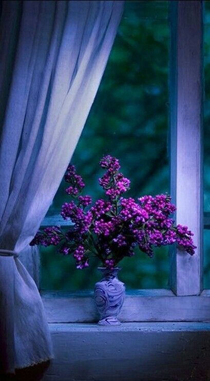 purpleflowersw-indowsill.jpg