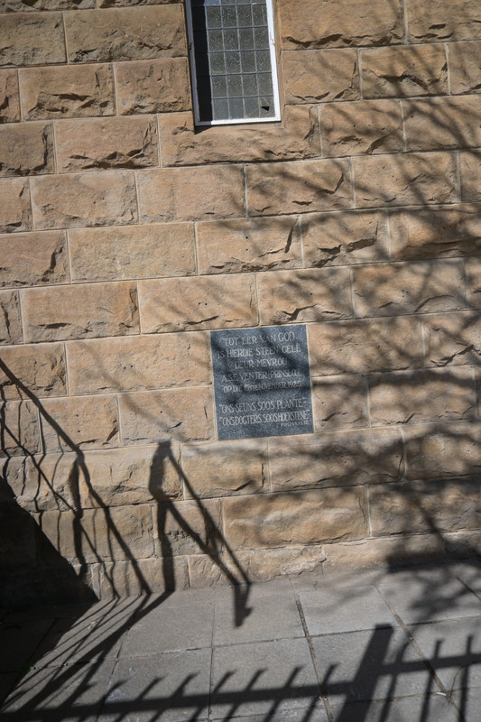 DSC_4218
