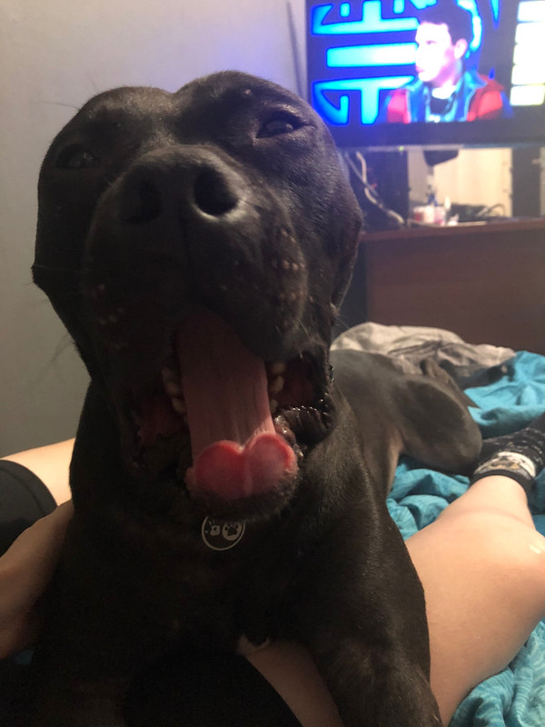 2E6BCD53-35C3-4FF2-929D-908D29B38D26