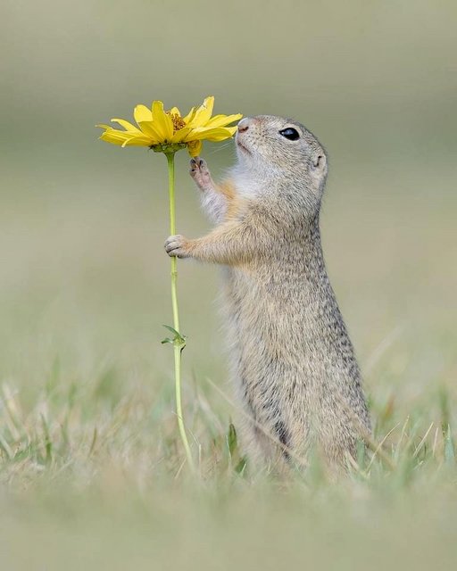 [Image: B8-B0944-A-DF5-C-493-E-8222-DE225487-DF56.jpg]