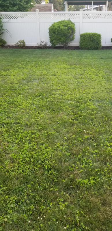 Resized952019070995192423