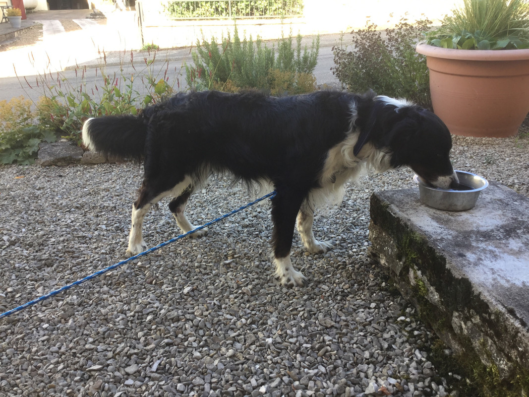 5F0ED22C-DCDA-46A2-B920-9C40F608E860