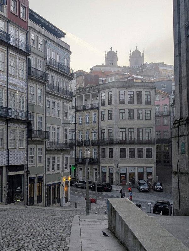 644194265 25574948598871436 6038138911454903421 n