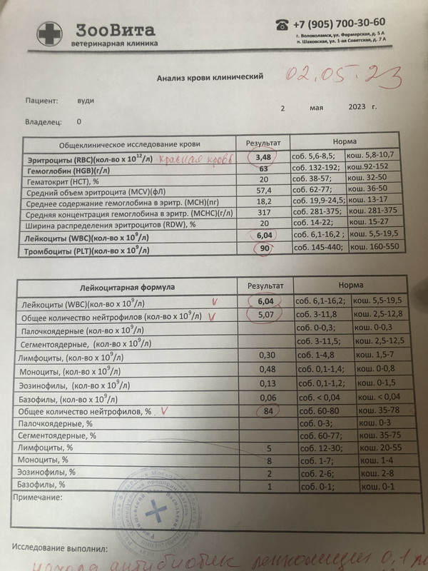 354693AD-5067-46DB-A65A-2C0C5DAF0FAE