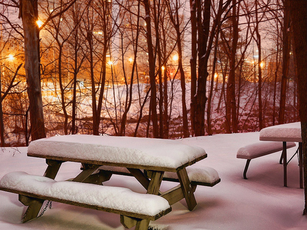 orange-snow.jpg