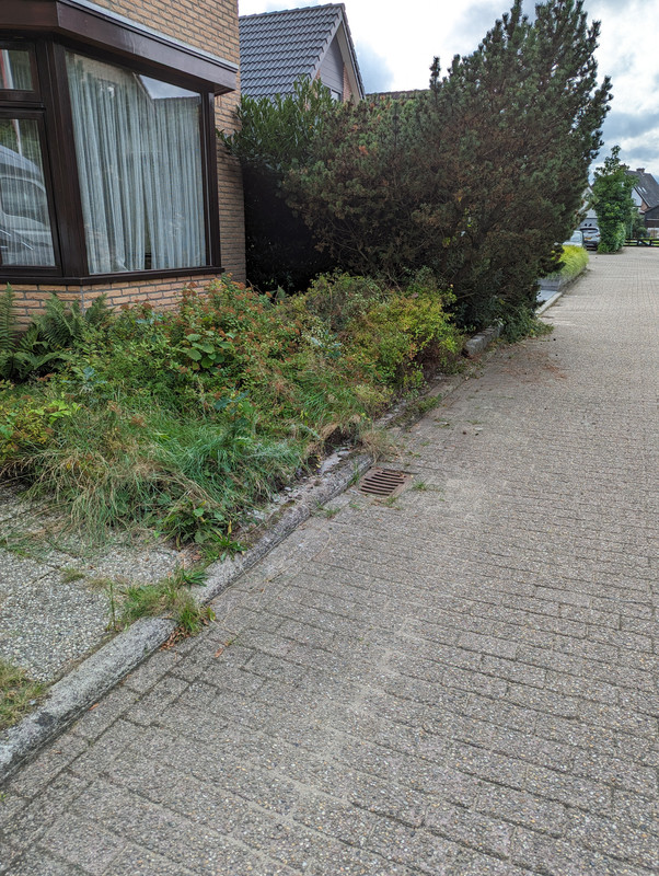 PXL-20230920-144727224.jpg