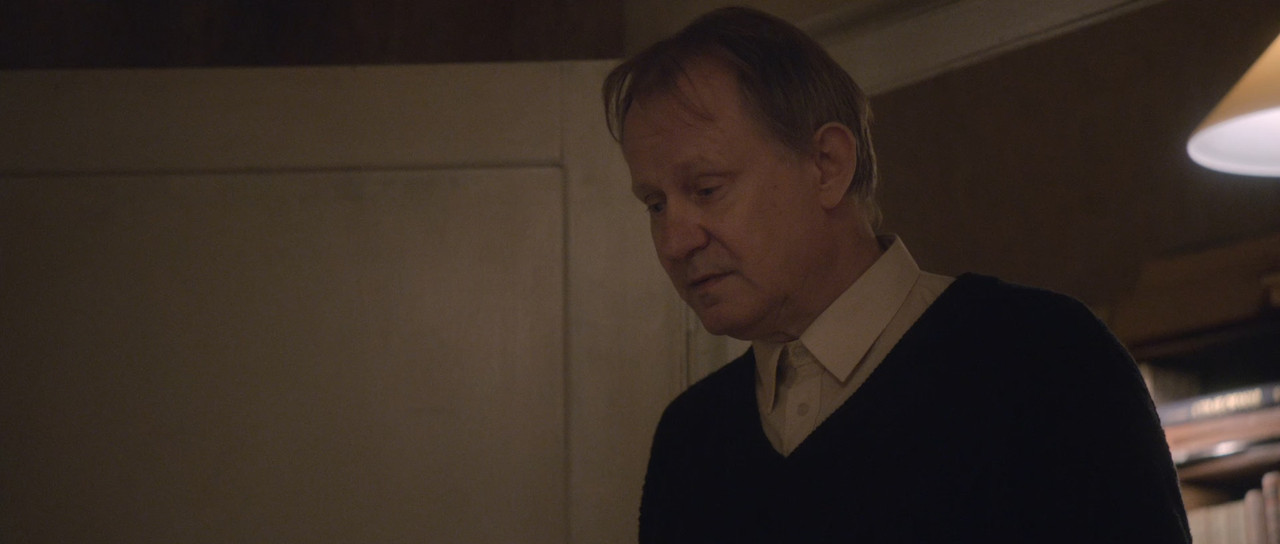 Nymphomaniac - Vol. II 2013 DC (1080p x265 10bit Tigole).mkv_sna