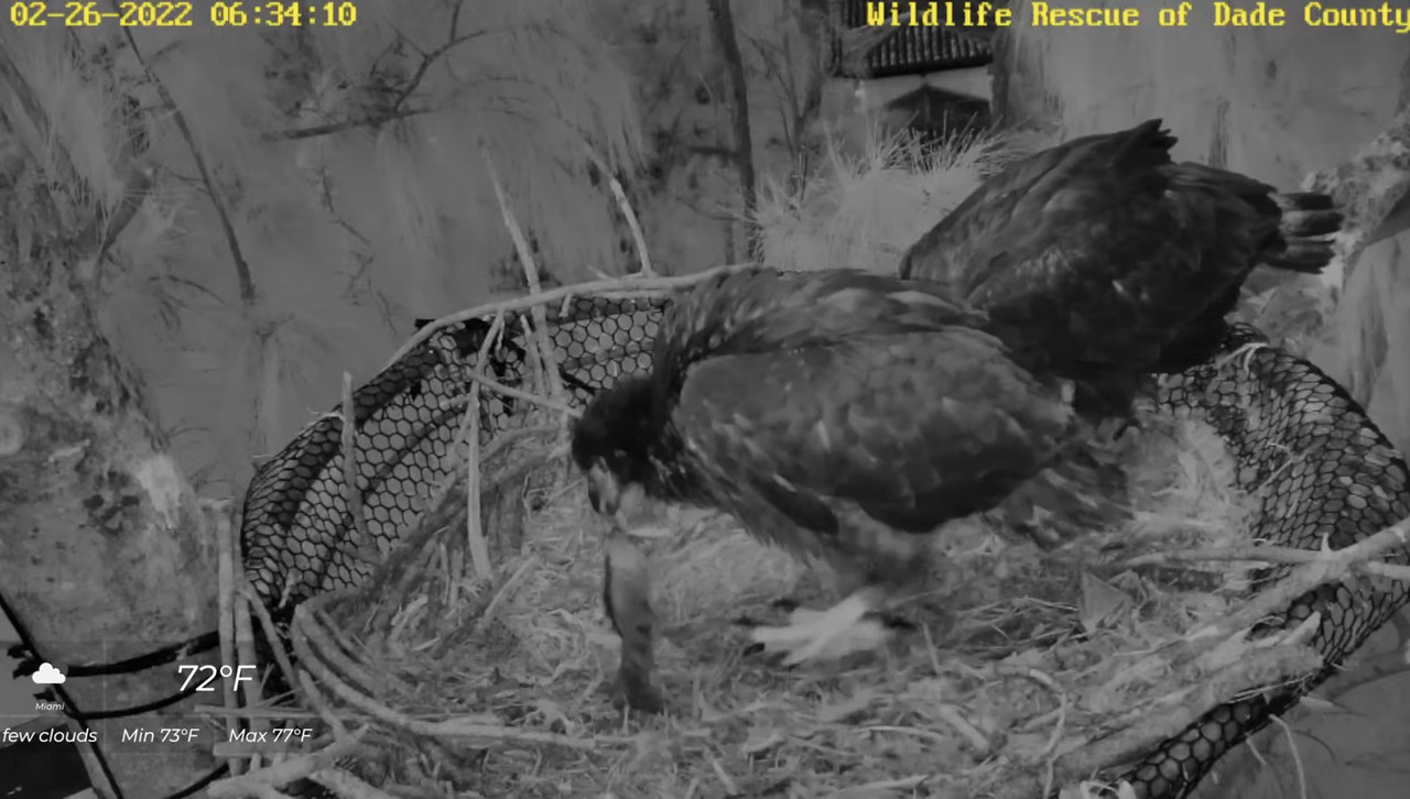 39D2CA09-0435-486D-9C3B-CBB1B39399EB