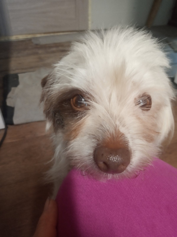 57E1E6F2-850A-4EBF-A977-F80549F0A41C