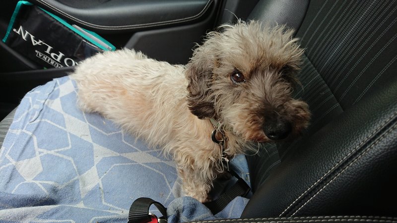 [Image: DSC-2771.jpg]