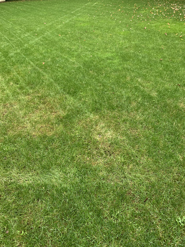 281CA5C2-C82F-4780-971B-4725F38366E6