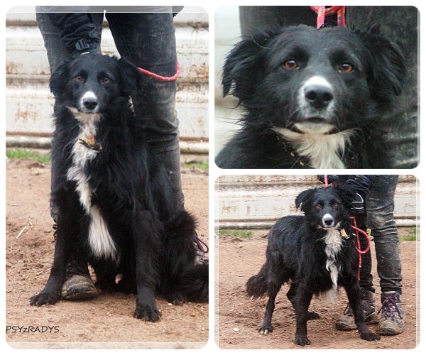 BeFunky-collage (15)