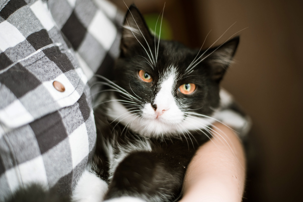 Разбойник3-3