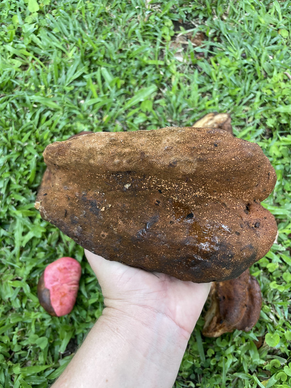 93CDC52E-CD2F-42C6-A69E-059683F2F73A