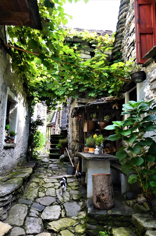CORIPPO-8-9-2019 - Suiza y sus pueblos-2019 (51)