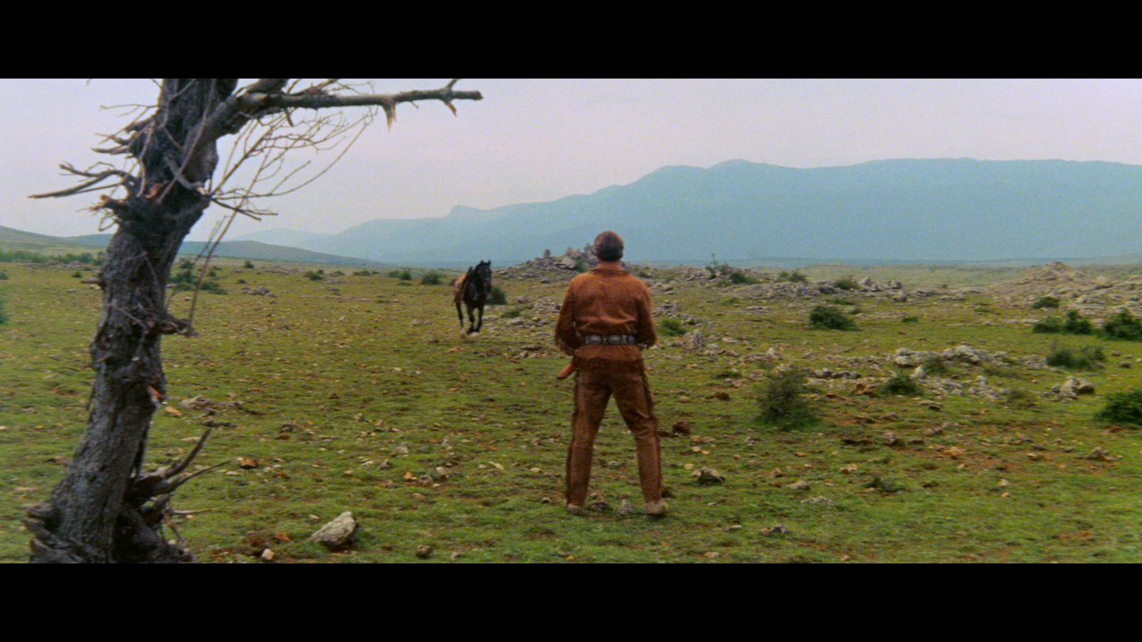 00003.mpls_snapshot_00.49.01_[2024.12.19_16.16.51]