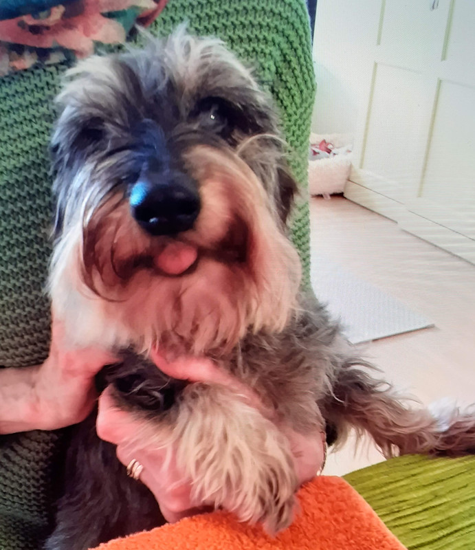 [Image: 20240312-161928.jpg]