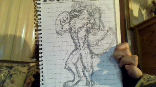 picture (4)