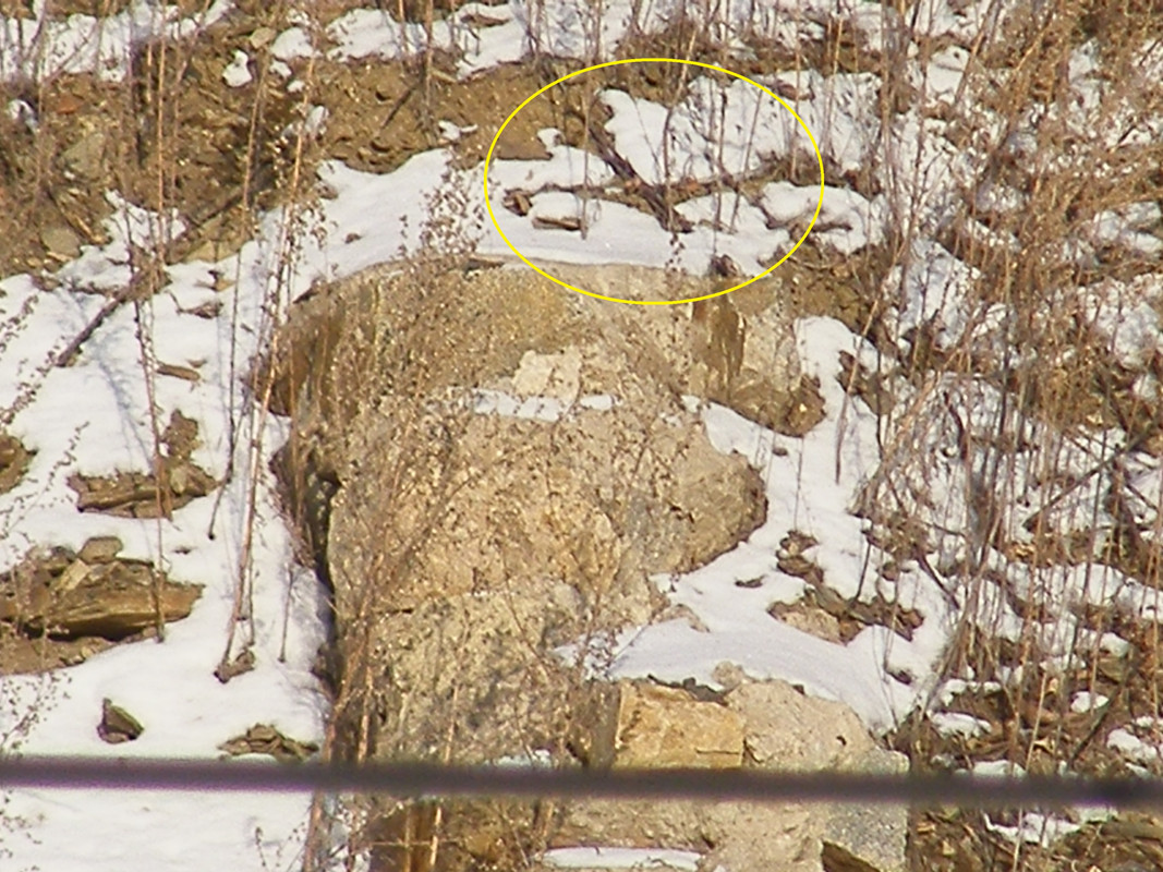 Что-то сверху