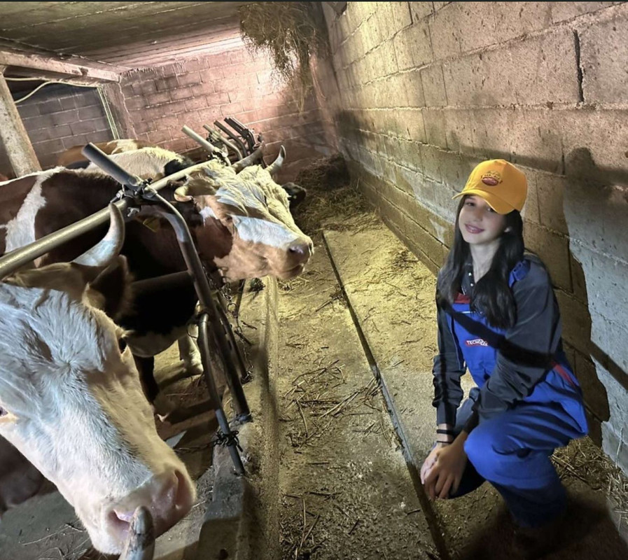 Screenshot 2025 11 06 at 15 17 35