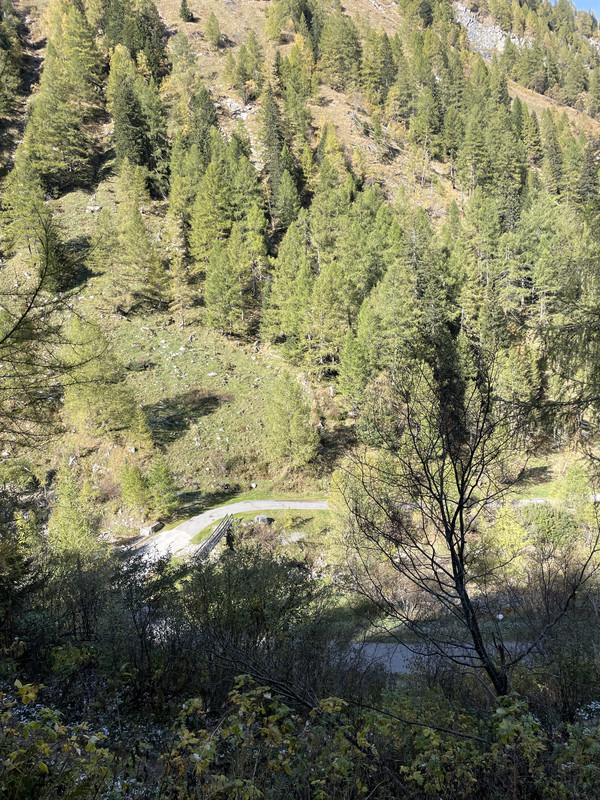 IMG-7561