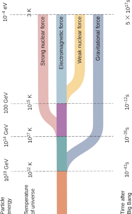 C01140AB-8073-4B2C-9320-9EA400E3D52D