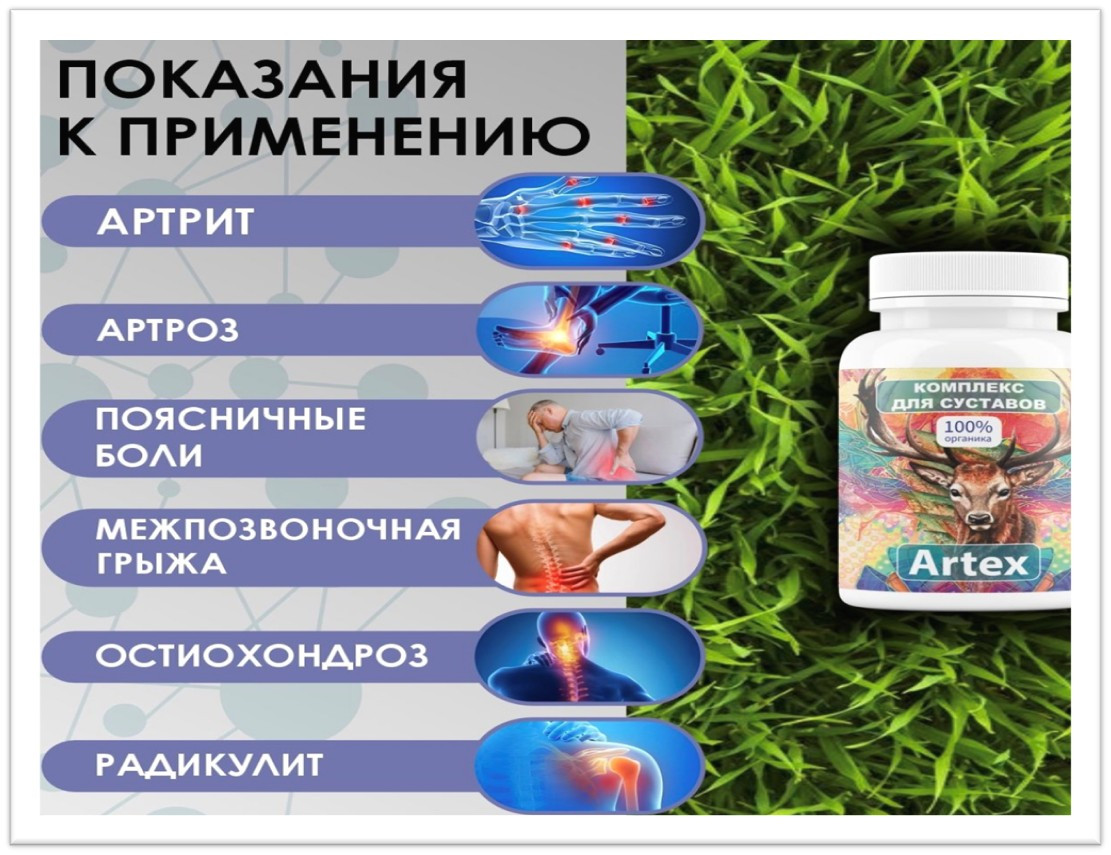 Макала сүрөтү