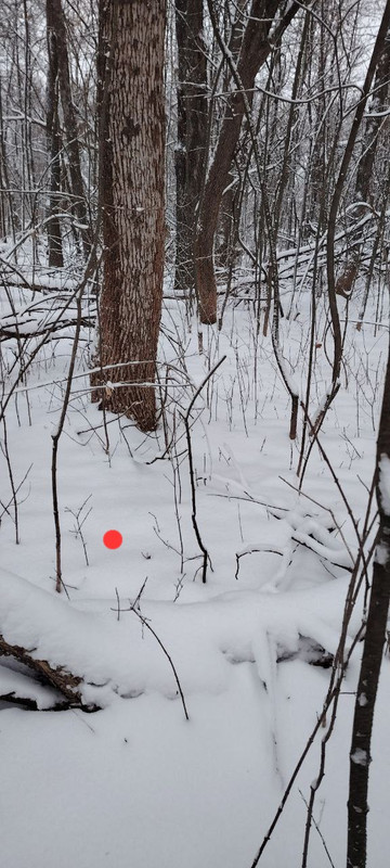 IMG 20251228 013528 232