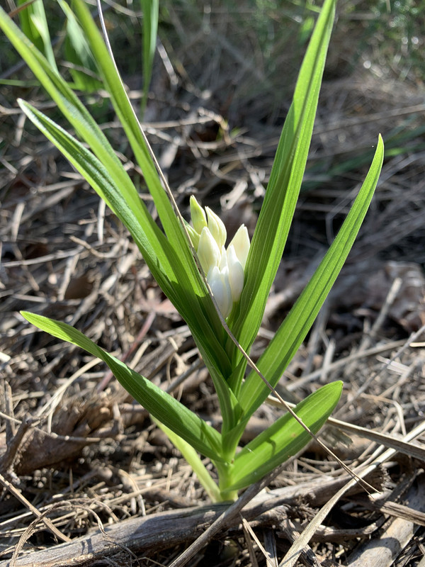 2681E718-85C2-427F-840A-DBB53504B6F0