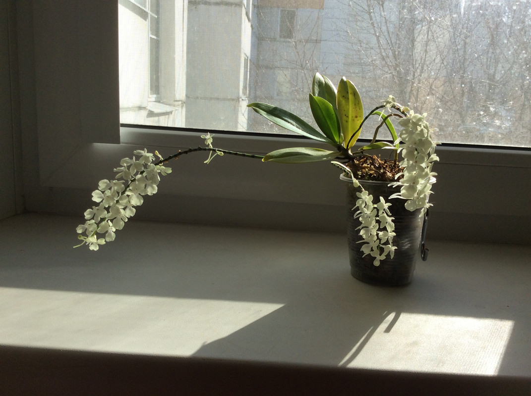 CAE90F0F-C6CA-46C0-A0BB-6EE826F8661C