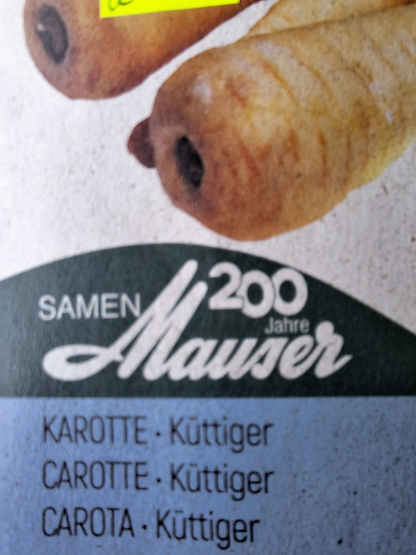 20240404_082709