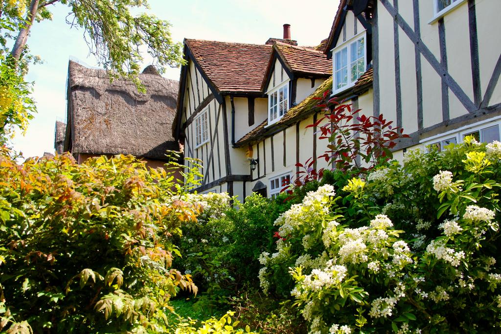 Пёстрая лента. Путешествие по сельским дорогам Англии в мае 2025 г.