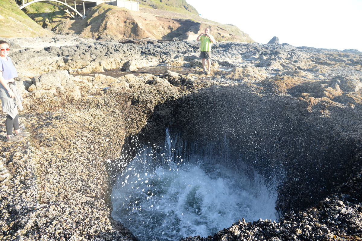 Árboles gigantes, fuegos y volcanes extintos - Oregon y California norte (2018) - Blogs de USA - Portland y costa de Oregon (26)