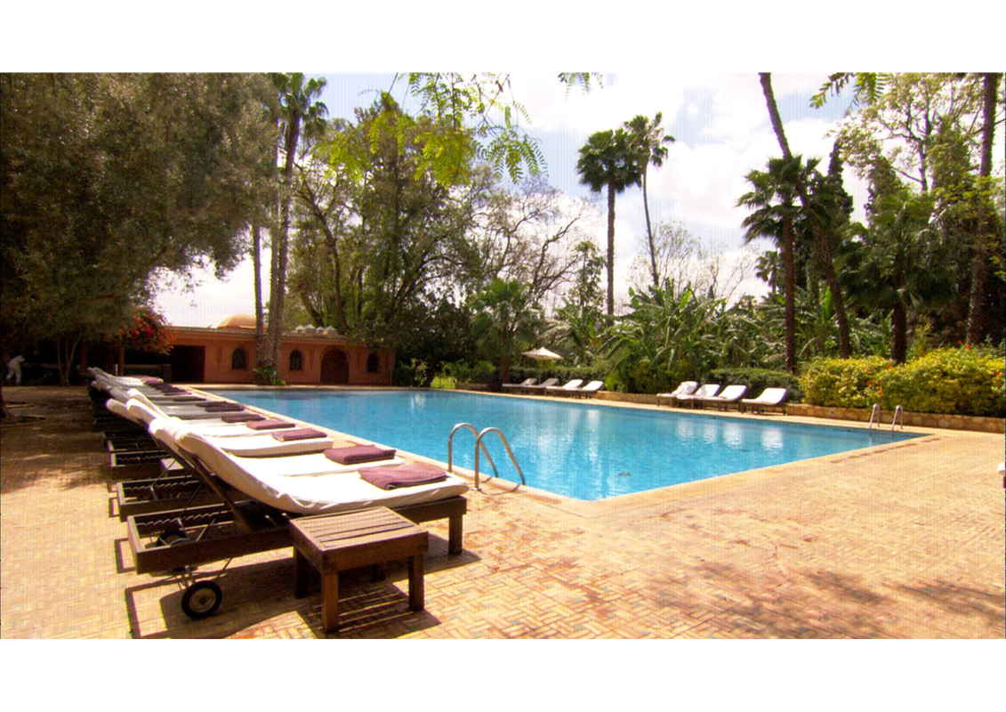 Gazelle Taroudant.jpg