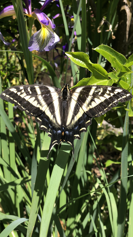 78712FD3-9697-4512-AED1-A9032D472F76