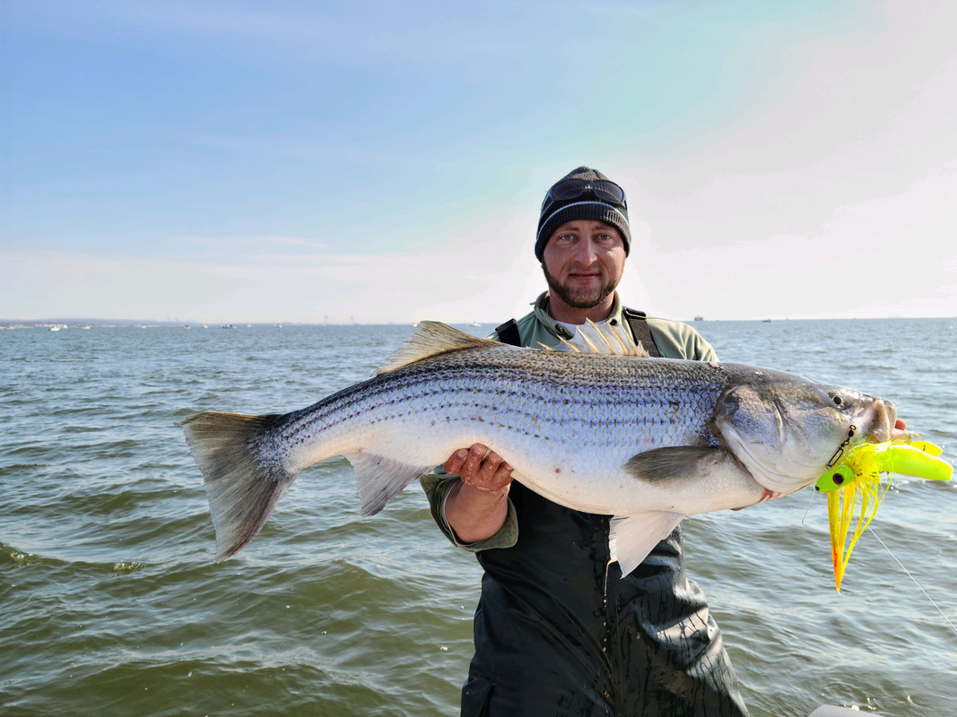 D3A4AB32-EAE4-4067-B1BA-715B916B438D