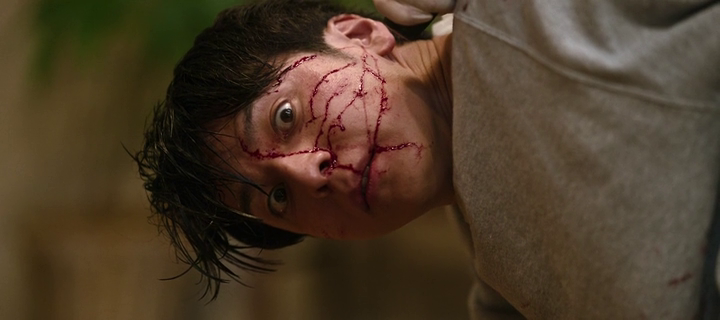 vlcsnap-2025-03-01-10h59m33s627