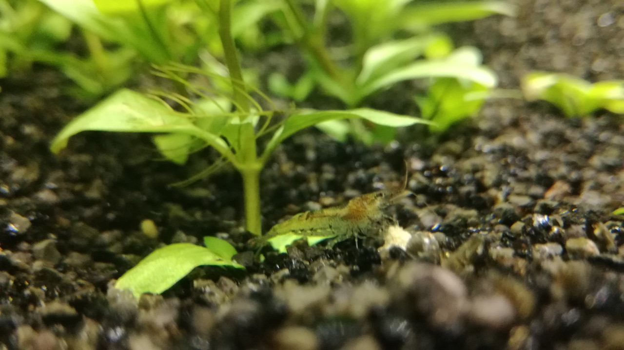 IMG_20190809_131529_1