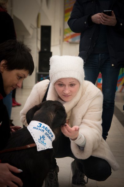 BE25D18D-7410-4430-BA2F-06EBD470D3E9